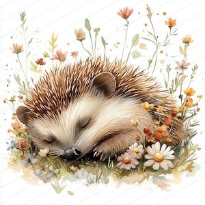 20 cliparts floraux hérisson | Illustration d'animal mignon | Clipart aquarelle imprimable | JPG de haute qualité | Créations artisanales en papier | Journal indésirable