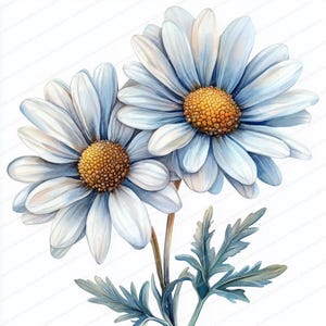 20 margaritas entrelazadas / Diseño de símbolo de amistad / Clipart de acuarela imprimible / JPG de alta calidad / Manualidades de papel / Diario basura