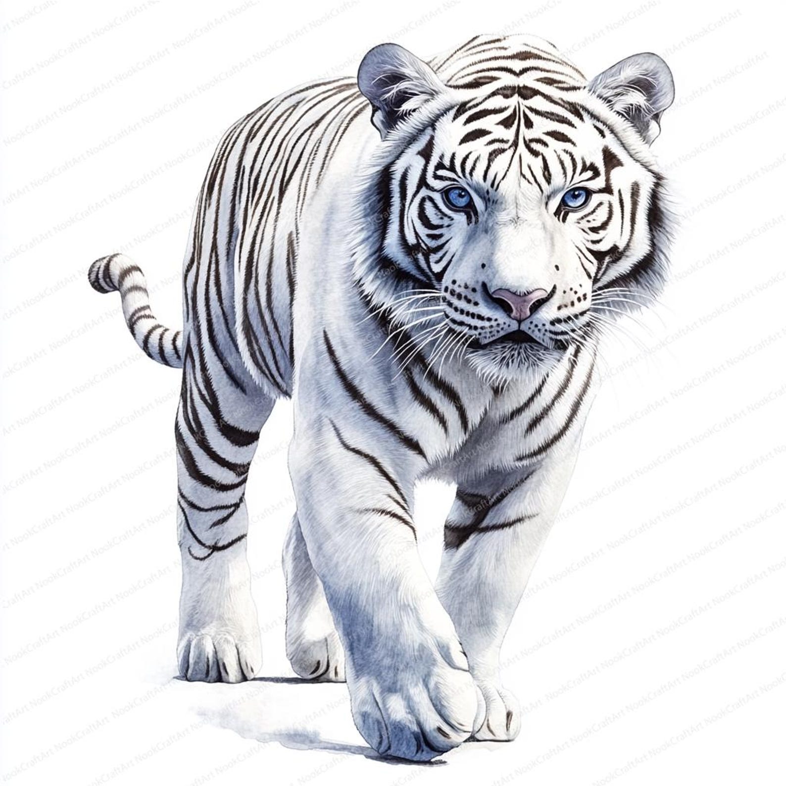 14 Majestic White Tiger Clipart | Watercolor Tiger | Printable