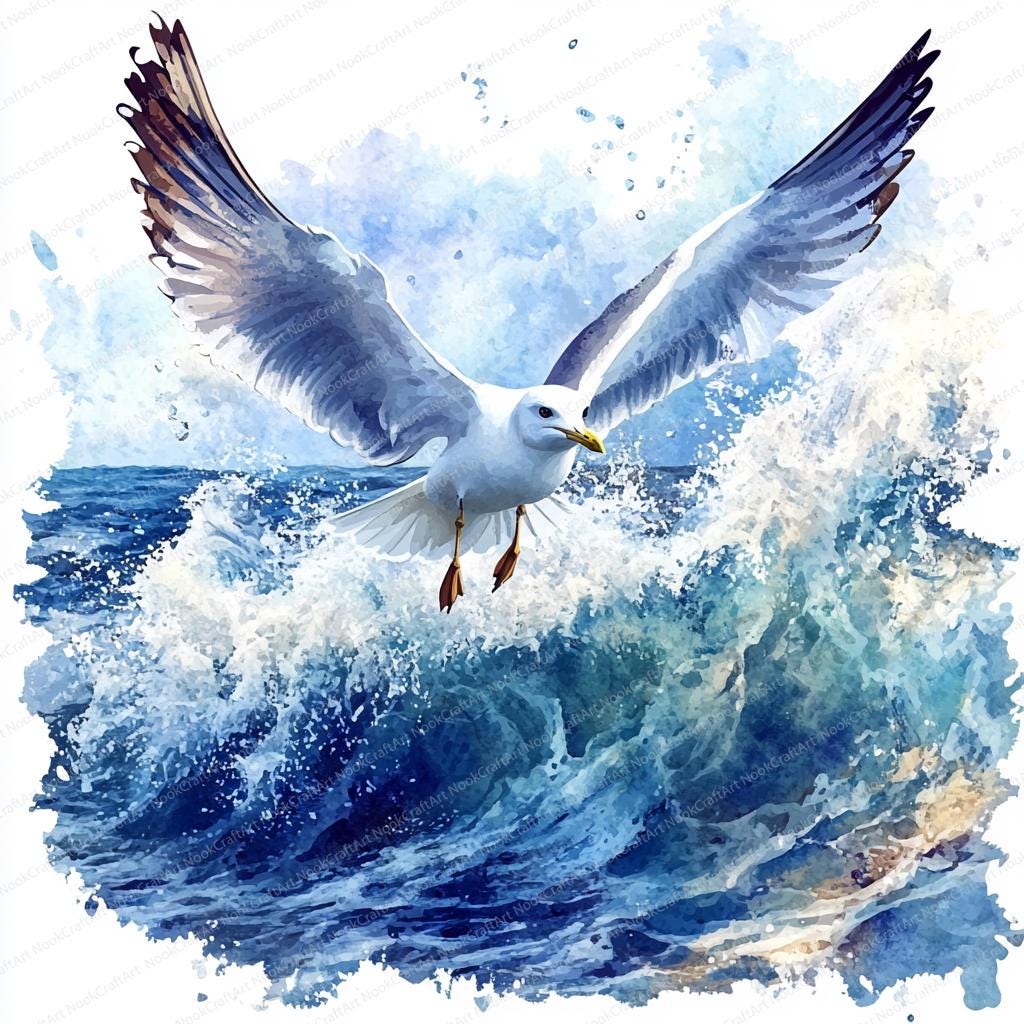 18 海の波の上のカモメのクリップアート | 航海中の海鳥のイラスト