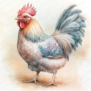Pastelkleurige kip clipartbundel | 14 JPG's van hoge kwaliteit | Afdrukbare aquarel clipart | Digitale download | Papierkunst | Fantasie, grillig