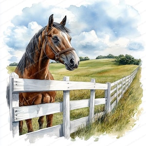 May include: Watercolor painting of a brown horse with a black mane and a white blaze, wearing a brown bridle. The horse is behind a white fence, with a green field and blue sky in the background.