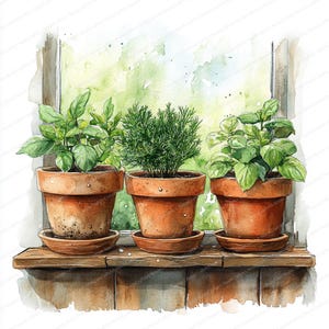 以下が含まれることがあります： 木製の窓枠に置かれた、3つの鉢植えのハーブの水彩画。テラコッタの鉢には、緑色のバジル、ローズマリー、別の種類のバジルが入っています。窓の外には、柔らかく緑色のぼやけた背景があり、庭の環境を示唆しています。