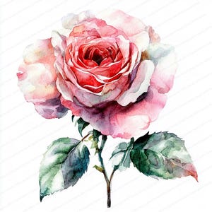 18 Rose Clipart | Hand-drawn Red Rose Art | Printable Watercolor clipart | High Quality JPGs | Digital download | Paper craft | Junk journal