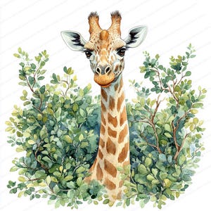 20 Giraffe che raggiungono gli alberi Clipart / Illustrazione della fauna selvatica per l'artigianato / Clipart acquerello stampabile / JPG di alta qualità / Diario spazzatura