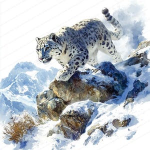 18 Clipart d'escalade de léopard des neiges | Illustration majestueuse de grand félin | Clipart aquarelle imprimable | JPG de haute qualité | revue