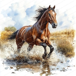 21 Cheval qui court dans des flaques d'eau Clipart | Illustration équine détrempée | Clipart aquarelle imprimable | JPG de haute qualité | Journal indésirable