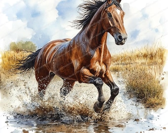 水たまりの中を走る馬のクリップアート 21 枚 | 雨に濡れた馬の