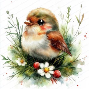 18 Rotkehlchen Clipart | Kleiner Rotkehlchen | Druckbare Aquarell Clipart | Hochwertige JPGs | Digitaler Download | Papiermodelle | Junk Journal