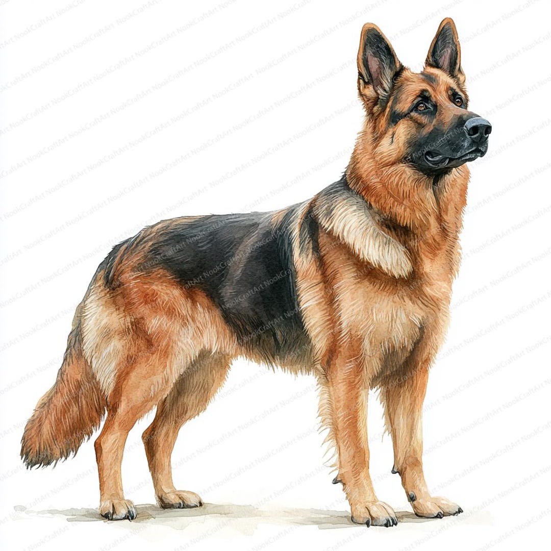 ジャーマンシェパードのクリップアート24点パック｜芸術的な犬の