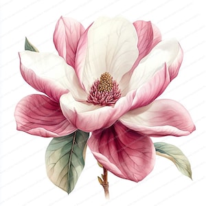 20 bloeiende magnolia-afbeeldingen | Elegante bloemenafbeeldingen | Afdrukbare aquarel clipart | Hoge kwaliteit JPG's | Papierkunst | Junkjournaal