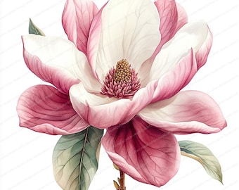 20 Blühende Magnolie Clipart | Elegante Blumengrafik Druckbare Aquarell Clipart | Hochwertige JPGs | Papiermodell | Junk Journal