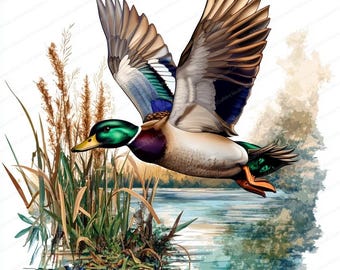 14 imágenes prediseñadas de pato real / Patos voladores para la temporada de caza de patos / Imágenes prediseñadas de acuarela imprimibles / JPG de alta calidad / Manualidades de papel / Diario