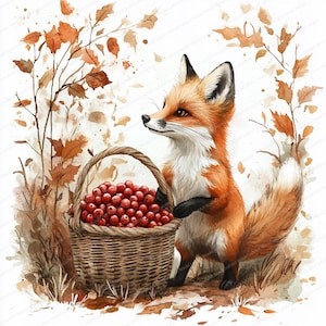 20 Clipart panier renard et baies | Illustration fantaisiste de forêt | Clipart aquarelle imprimable | JPG de haute qualité | Journal indésirable