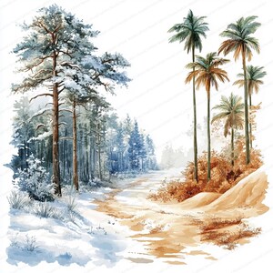 18 Clipart forêt hivernale et palmier du désert | Illustration unique de contraste naturel | Clipart aquarelle imprimable | JPG de haute qualité | revue