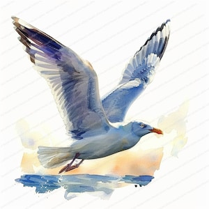 12 Seagull Clipart | Marine Gull Clipart Pack | Printable Watercolor clipart | High Quality JPGs | Digital download | Paper craft | journals