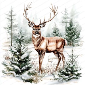 20 Christmas Deer Clipart Bundle | Reindeer Clipart | High Quality Jpgs ...