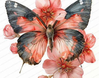 14 Imágenes prediseñadas de mariposa floral de acuarela / Mariposa colorida / Imágenes prediseñadas de acuarela imprimibles / JPG de alta calidad / Descarga digital / artesanía