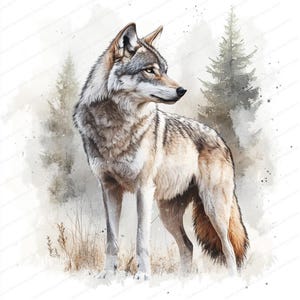 14 Wolf Clipart | Wolf in Forest | Printable Watercolor clipart | High Quality JPGs | Digital download | High resolution | Paper crafts