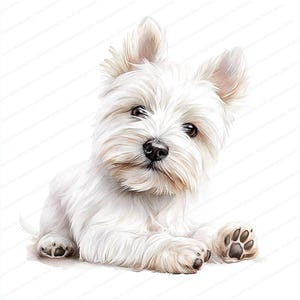 20 Westie Hunde Clipart | Süßer Hund Clipart | Druckbare Aquarell Clipart | Hochwertige JPGs | Digitaler Download | Papiermodelle | Zeitschriften