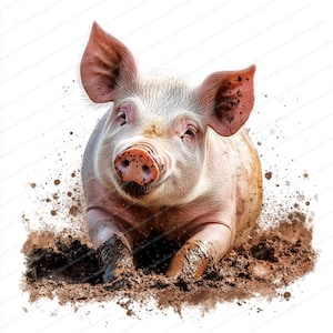 20 Schweine vom Bauernhof Illustrationen | Aquarell Clipart Sammlung | Hochwertige JPGs | Sofortdownload | Druckfertige Designs | Scrapbooking