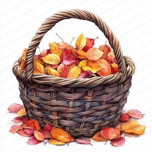20 hojas de otoño en cestas de imágenes prediseñadas / Colección de follaje otoñal / Imágenes prediseñadas de acuarela imprimibles / JPG de alta calidad / Manualidades de papel / Diario basura