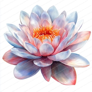 18 Lotus Radiance-clipart | Bloeiend in zacht licht | Afdrukbare aquarel clipart | Hoge kwaliteit JPG's | Papierkunst | Junkjournaal