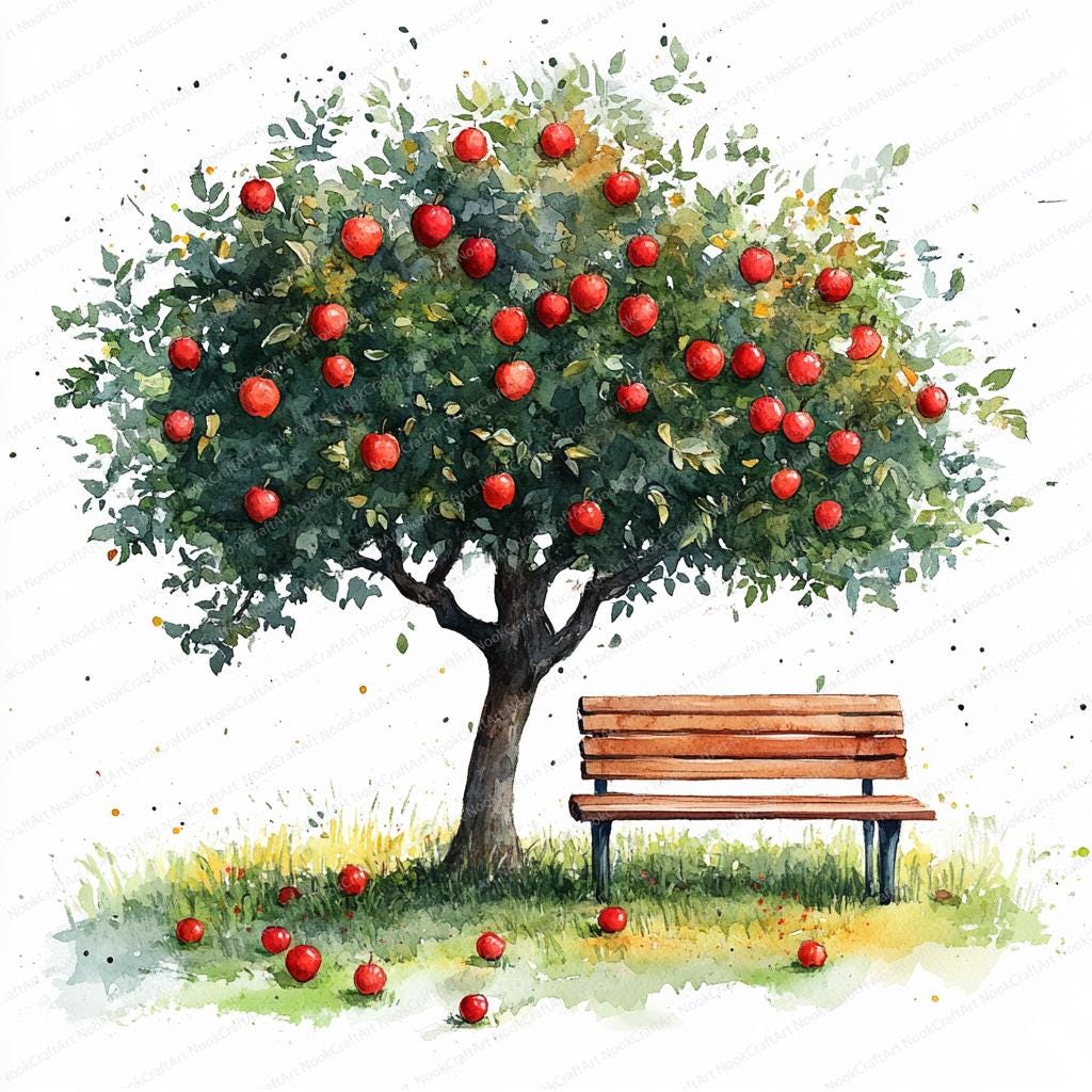 20 木のベンチのクリップアート | 穏やかな屋外のイラスト | 印刷可能