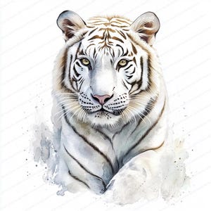 May include: Watercolor painting of a white tiger with black stripes. The tiger has yellow eyes and a pink nose. The artwork has a soft, artistic style with watercolor splashes around the tiger.