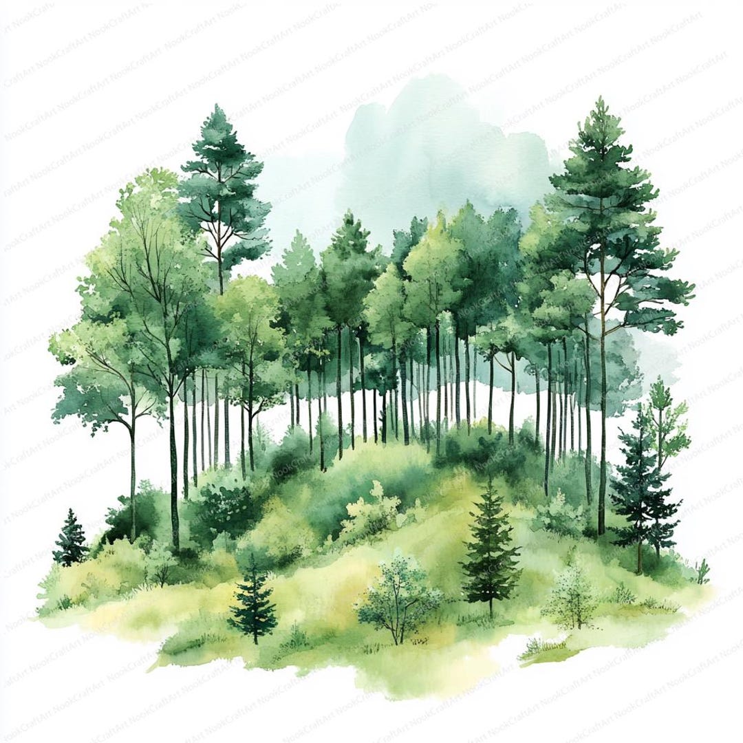 16 Misty Forest Clipart | Watercolor Landscape …