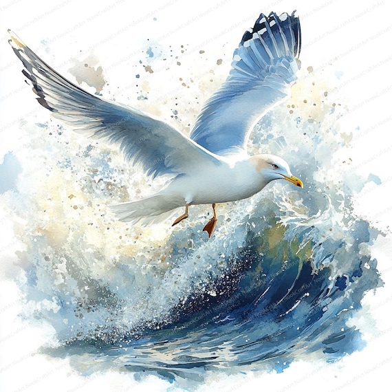 18 海の波の上のカモメのクリップアート | 航海中の海鳥のイラスト