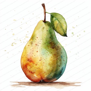 12 Clipart di pere / Clipart di pere ad acquerello / Clipart di acquerelli stampabili / JPG di alta qualità / Download digitale / Carta artigianale, diari spazzatura
