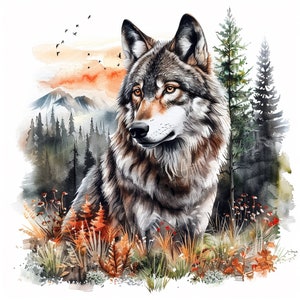 15 wolf-clipart | Afdrukbare aquarel clipart | Aquarel wolf clipart | Hoge kwaliteit JPG's | Digitale download | Hoge resolutie