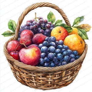 18 cliparts de corbeille de fruits | Lot d'illustrations colorées| Clipart aquarelle imprimable | JPG de haute qualité | Créations en papier | Journal indésirable