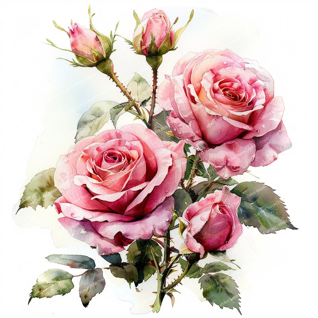 13 Pink Roses Set | Roses Bouquet | Printable Watercolor Clipart ...