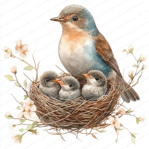 18 Uccelli che nutrono i nidiacei Clipart / Illustrazione della famiglia della fauna selvatica / Clipart acquerello stampabile / JPG di alta qualità / Lavoretti di carta / Diario