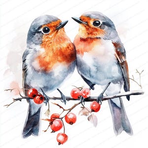 16 Liebe Rotkehlchen Clipart | Druckbare Aquarell Clipart | Hochwertige JPGs | Digitaler Download | Papiermodelle | Junk Journals