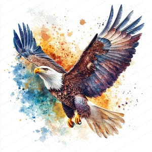 14 Eagle Clipart | Soaring Bald Eagles | Wydrukowalne cliparty akwarelowe | Wysokiej jakości pliki JPG | Pobieranie cyfrowe | Rękodzieło papierowe | Junk Journals