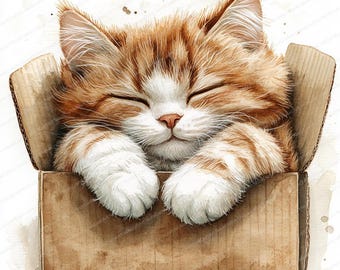 17 箱の中で眠る猫のクリップアート | 心地よい猫のお昼寝のイラスト