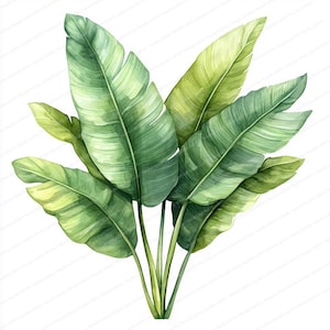 20 Clipart di foglie tropicali minimaliste / Collezione di foglie botaniche semplici / Clipart di acquerelli stampabili / JPG di alta qualità / Carta artigianale