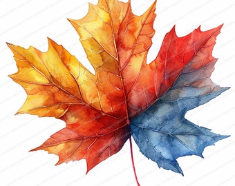 12 Maple Leaf Clipart | Elegant Maple Leaf Clipart Bundle | High Quality JPGs | Digital download | Paper craft | Autumn Clipart