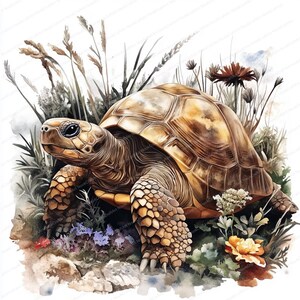 May include: A watercolor painting of a brown tortoise with a yellow shell, surrounded by green grass and wildflowers.