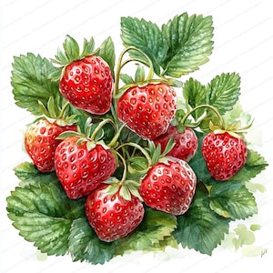 22 Truskawkowe Czerwone Jagody Clipart | Botaniczna Zielona Ilustracja Liści | Wydrukowalne Akwarele Clipart | Wysokiej Jakości JPG | Rękodzieło Papierowe