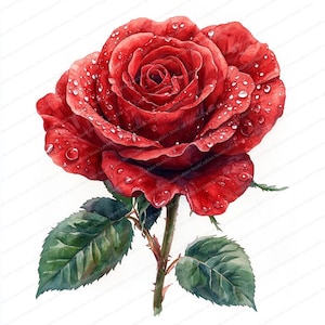 22 gepassioneerde rode roos-clipart | Symbool van liefde en verlangen | Afdrukbare aquarel clipart | Hoge kwaliteit JPG's | Papierkunst | Junkjournaal