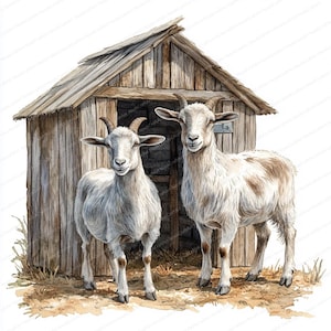 Paire de 19 chèvres par abri en bois Clipart | Illustration d'animal de ferme rustique | Clipart aquarelle imprimable | JPG de haute qualité | Journal indésirable