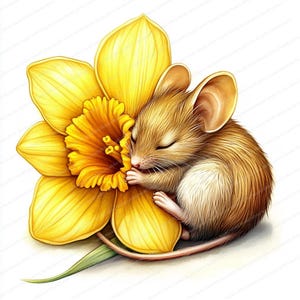 14 cliparts floraux de souris | Clipart souris aquarelle | Souris mignonnes | JPG de haute qualité | Téléchargement numérique | Créations artisanales en papier | journal indésirable