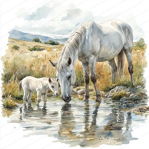 21 Cheval et son poulain scène de rivière Clipart | Illustration d'une jument et d'un poulain au pâturage | Clipart aquarelle imprimable | JPG de haute qualité | Créations en papier