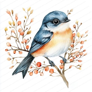 15 Clipart di uccelli scandinavi / Clipart di uccelli e fiori / Clipart di acquerelli stampabili / JPG di alta qualità / Carta artigianale / diario di scarto