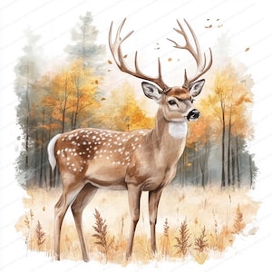 Pu&ograve; includere: Un dipinto ad acquerello di un cervo dalla coda bianca in piedi in un bosco. Il cervo ha un manto marrone con macchie bianche e grandi corna. Lo sfondo &egrave; un'immagine sfocata di alberi con foglie gialle e arancioni.