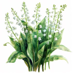 13 Lily of the Valley Bouquet Clipart | Adorable | Printable Watercolor clipart | High Quality JPG | Digital download | Paper craft
